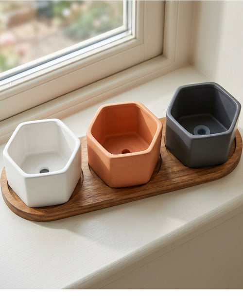 Ymvbk Hexagonal Mini Ceramic Planter Set of 3 with Acacia Tray - Lifestyle view