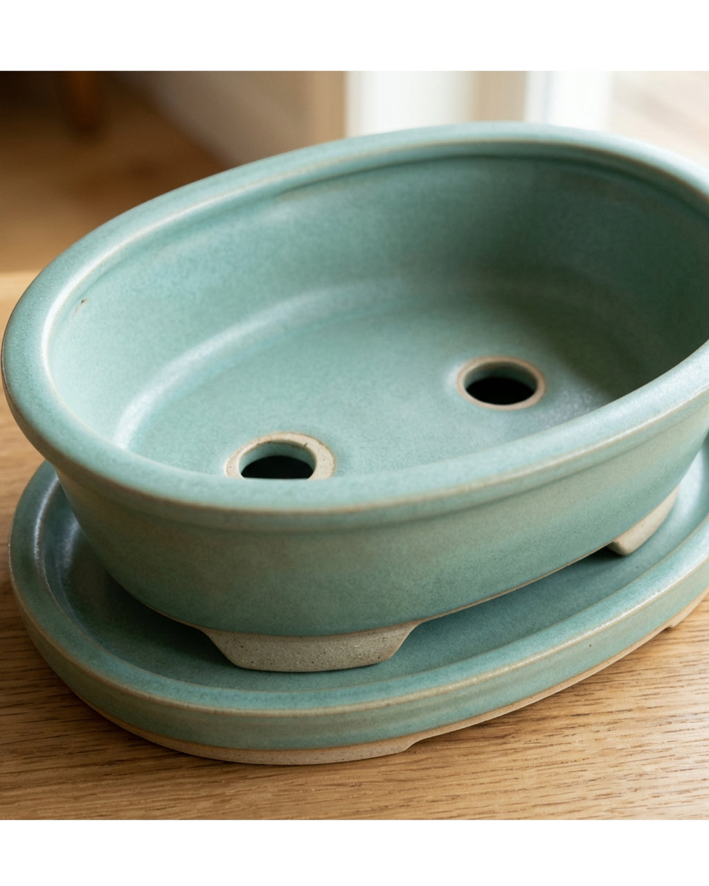 Ymvbk Oval Bonsai Ceramic Planter with Tray Seafoam - Detail view