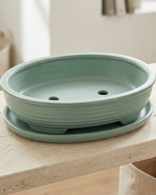 Ymvbk Oval Bonsai Ceramic Planter with Tray Seafoam - Lifestyle view
